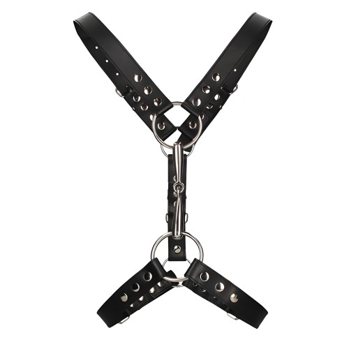 Men's Harness With Metal Bit