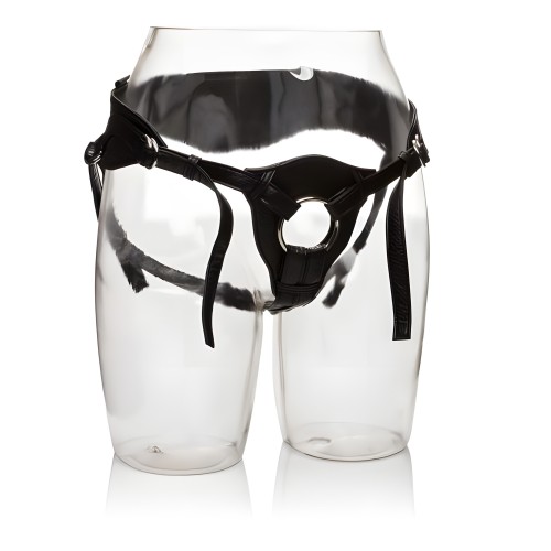 Her Royal Harness Queen Black Boxed - Her Royal Harness