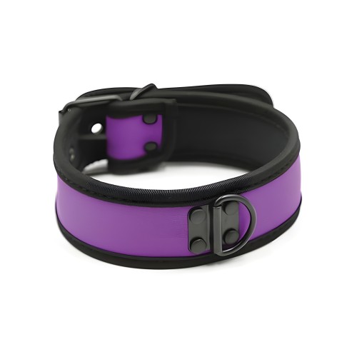 Collar de Neopreno Plesur para Cachorros - Morado