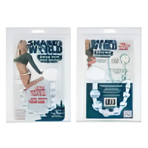 Shanes Anal 101 Intro Beads - Beginner-Friendly