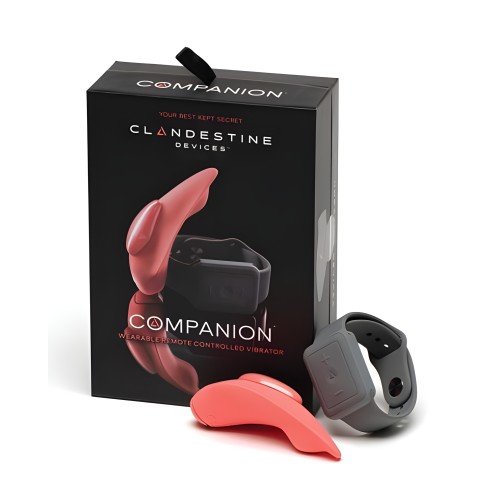 Vibrador de Panty Control Remoto Companion