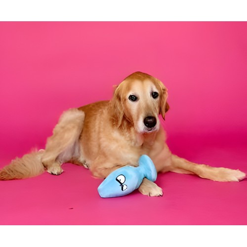 Scruffy Mutt Plug Mcruff Butt Plug Blue - Playful Fun