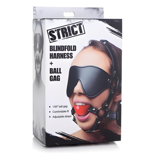 Blindfold Harness And Ball Gag - Strict