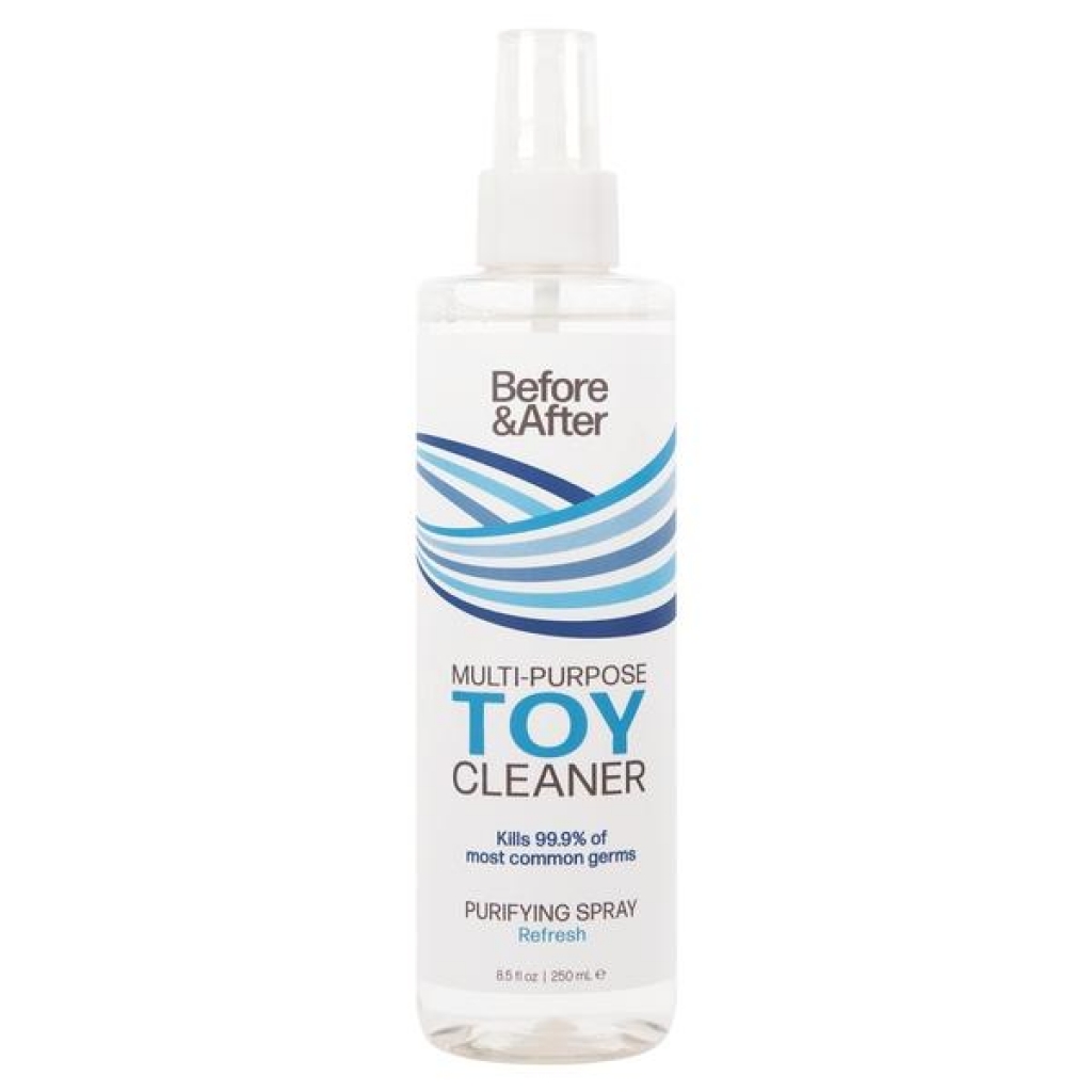 Before & After Toy Cleaner Spray 8.5oz - Classic Brands