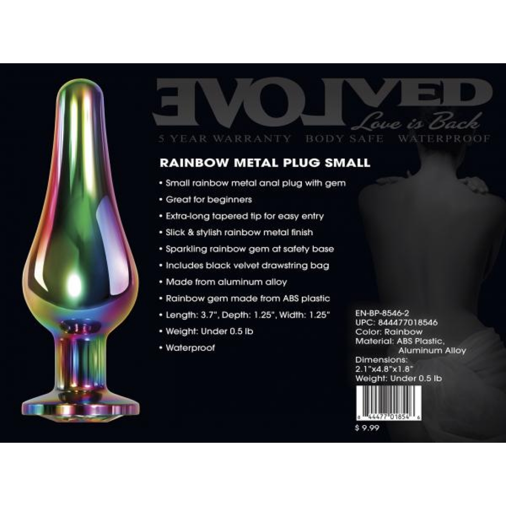 Rainbow Metal Plug Small - Evolved Novelties