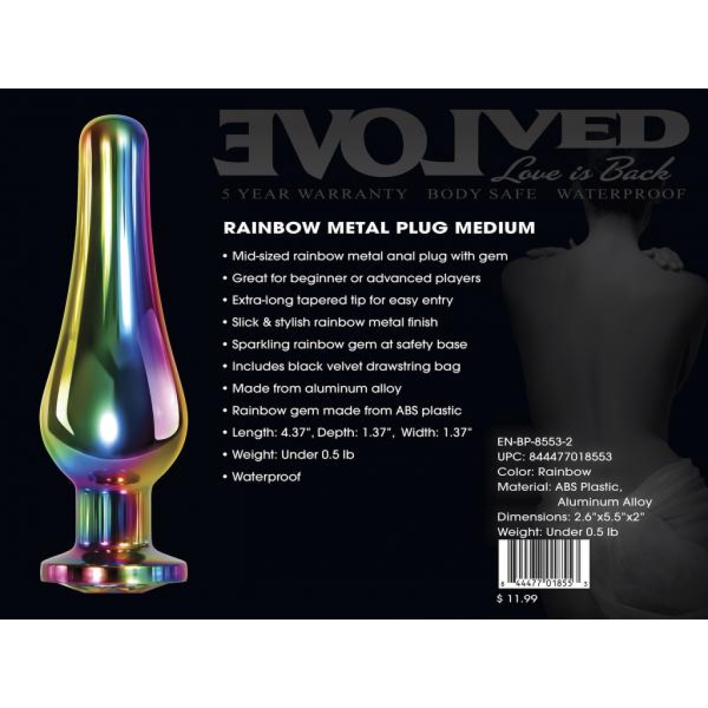 Rainbow Metal Plug Medium - Evolved Novelties