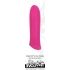 Pretty In Pink Rechageable Bullet Vibrator Pink - Evolved Novelties