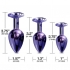 Nixie Metal Plug Trainer Set Purple Metallic - Global Novelties