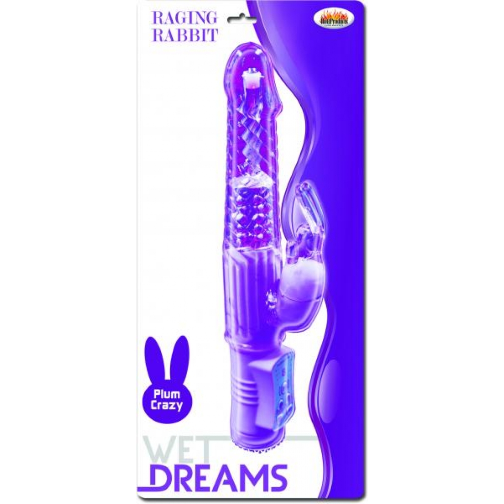 Wet Dreams Raging Rabbit Purple Vibrator - Hott Products
