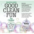 Good Clean Fun Eucalyptus 2 Oz Cleaner - Little Genie