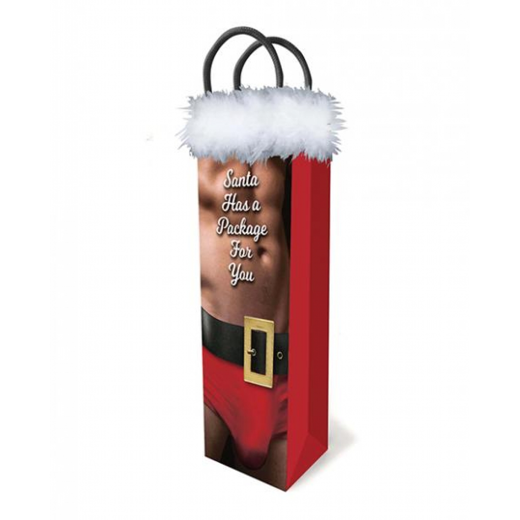 Santa Has A Big Package For You Gift Bag - Little Genie