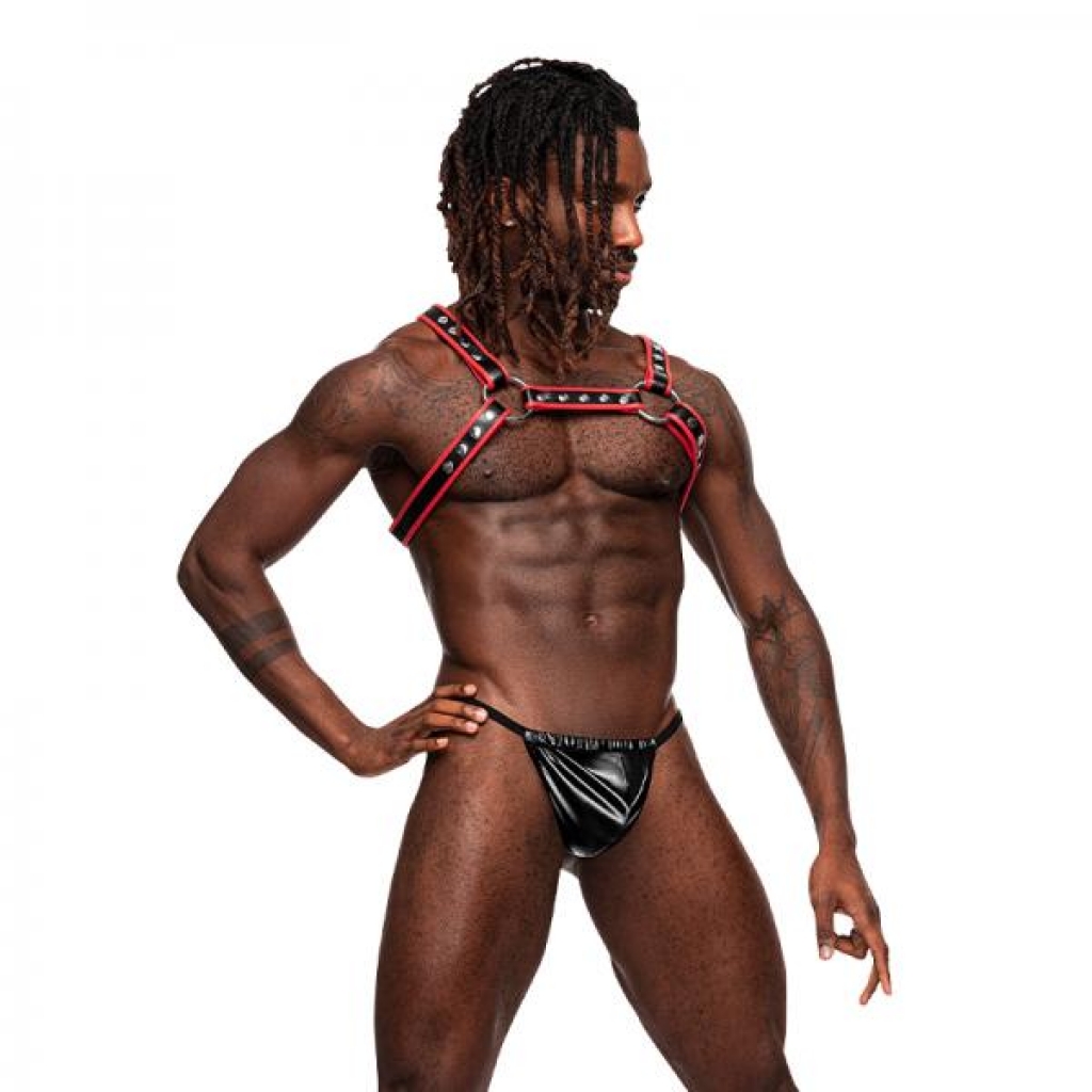Leo Leather Harness Black/red O/s - Male Power Lingerie
