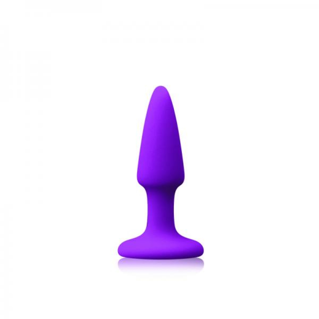 Colours Pleasures Mini Plug Purple - Ns Novelties