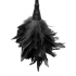 Fetish Fantasy Frisky Feather Duster Black - Pipedream