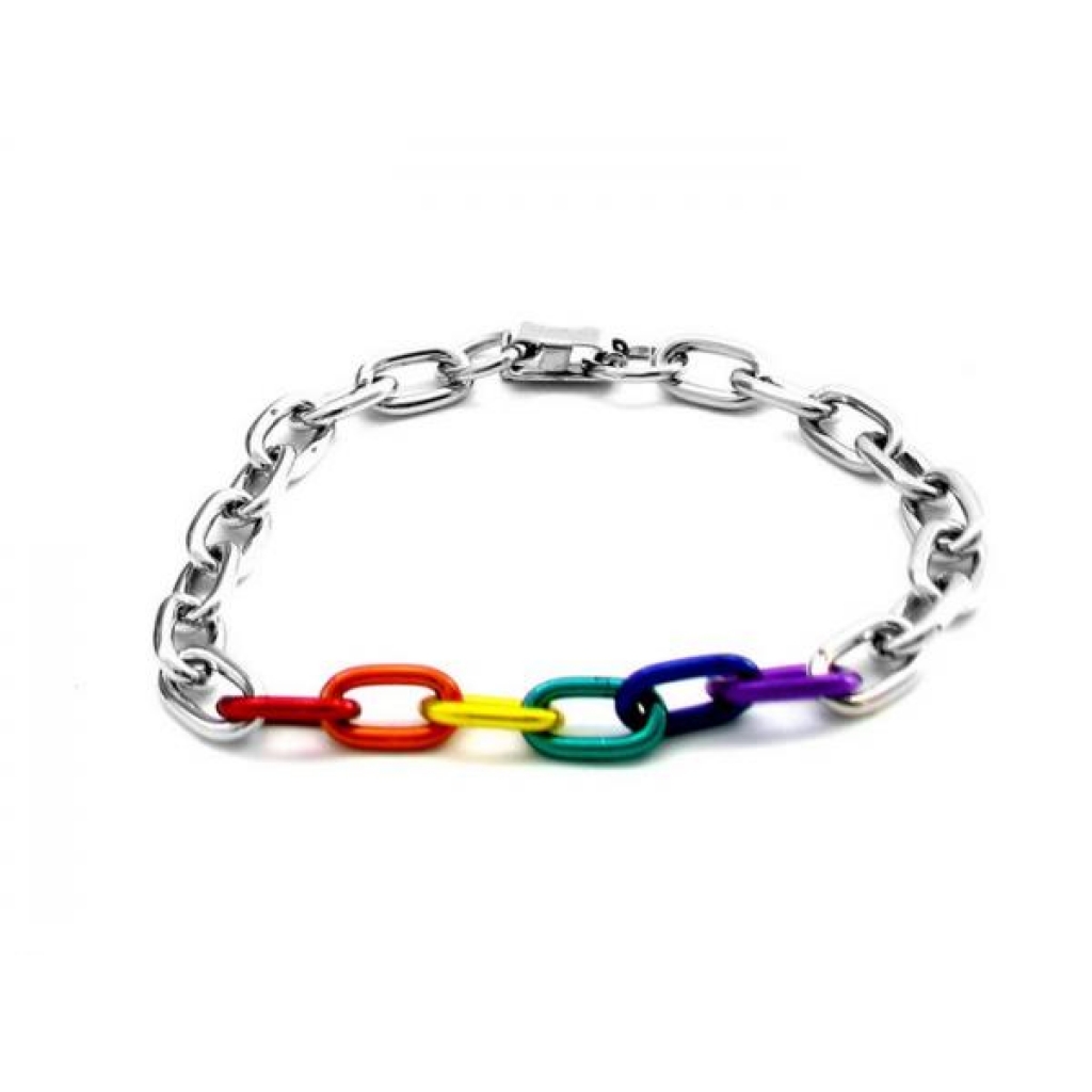 Gaysentials Rainbow and Silver Links Bracelet - Phs International