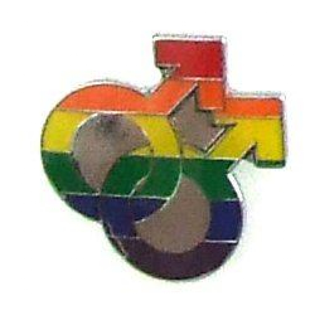 Gaysentials Lapel Pin Rainbow Double Male - Phs International