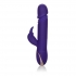 Jack Rabbit Silicone Thrusting Vibrator Purple - Cal Exotics