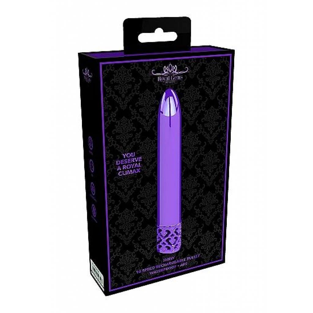 Royal Gems Shiny Purple Abs Bullet Rechargeable - Shots America
