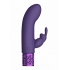 Royal Gems Dazzling Purple Rechargeable Silicone Bullet - Shots America