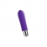 Vedo Bam Mini Bullet Vibrator Indigo Purple - Savvy Co.