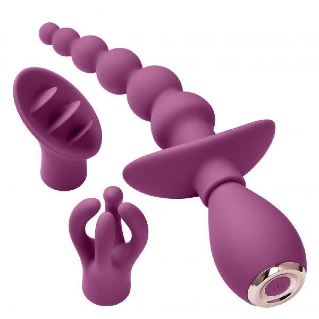 Cloud 9 Health & Wellness Anal Clitoral & Nipple Massager Kit Plum - Cloud 9 Novelties