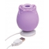 Inmi Bloomgasm Wild Rose 10x Purple Suction Clit Stimulator - Xr Brands