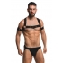 Master Series Elastic Chest Harness W/ Arm Bands L/xl - Xr Brands