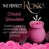 Bloomgasm The Perfect Rose Clit Stimulator Pink - Xr Brands