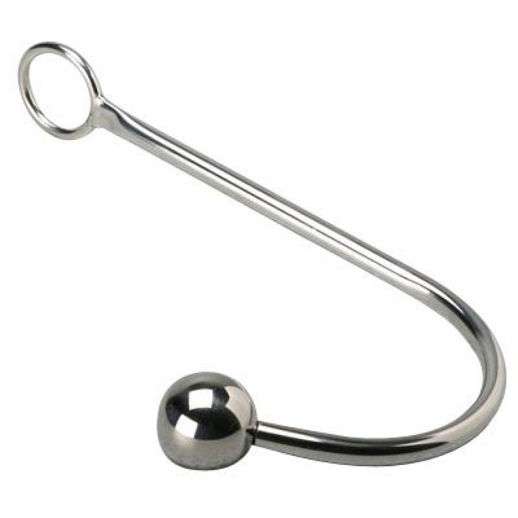 Hooked Stainless Steel The Anal Hook - Xr Brands